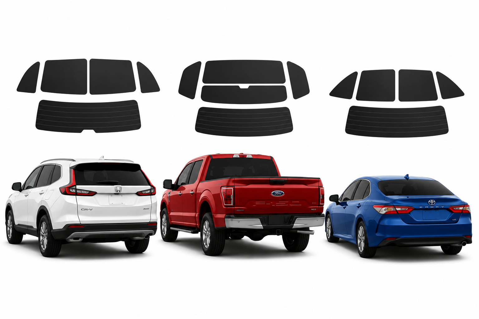 CARBON Back Half Pre-Cut kit